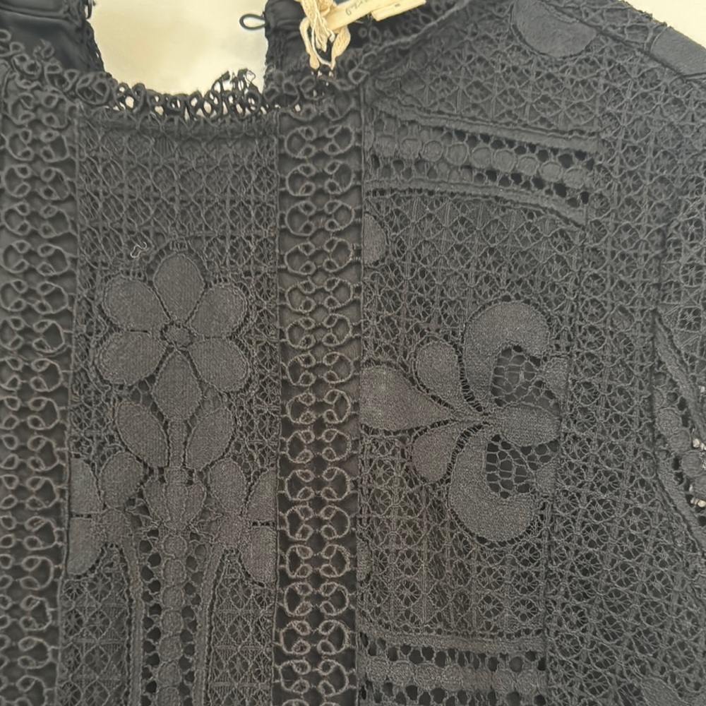 Elegant Black Lace Dress - Picture 4 of 11